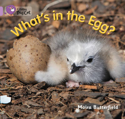 What&rsquo;s in the Egg? - Moira Butterfield