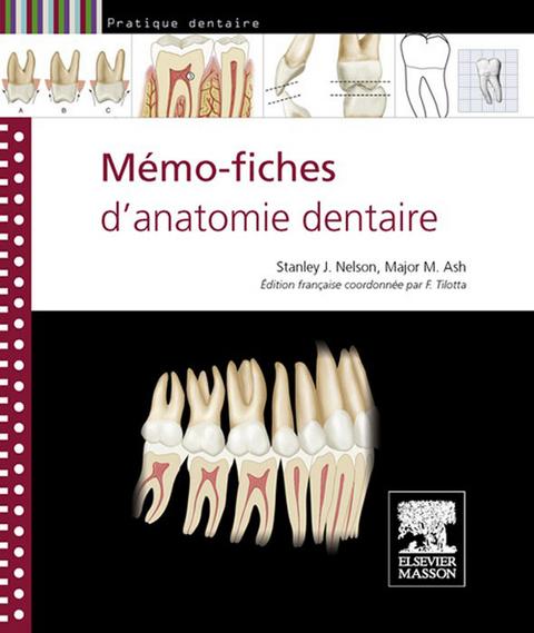 Memo-fiches d'anatomie dentaire -  Major M. Ash,  Stanley J. Nelson,  Francoise Tilotta