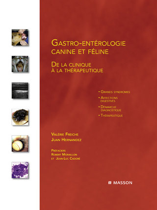 Gastro-enterologie canine et feline