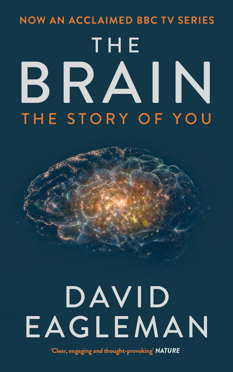 The Brain - David Eagleman