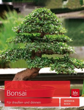 Bonsai - Werner M. Busch