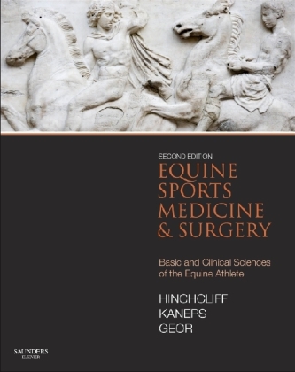 Equine Sports Medicine and Surgery - Kenneth W. Hinchcliff, Andris J. Kaneps, Raymond J. Geor