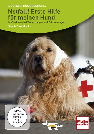 Notfall! Erste Hilfe für meinen Hund - Sophie Strodtbeck, Ralf Alef