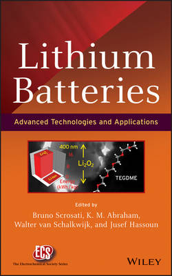 Lithium Batteries &ndash; Advanced Technologies and Applications - 