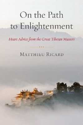 On the Path to Enlightenment - Matthieu Ricard