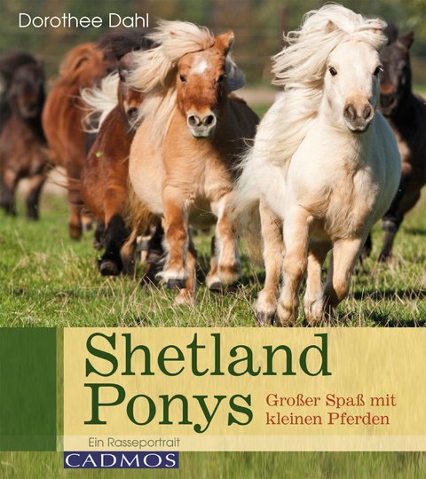 Shetlandponys - Dorothee Dahl
