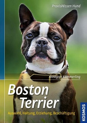 Boston Terrier - Annegret K&auml;mmerling