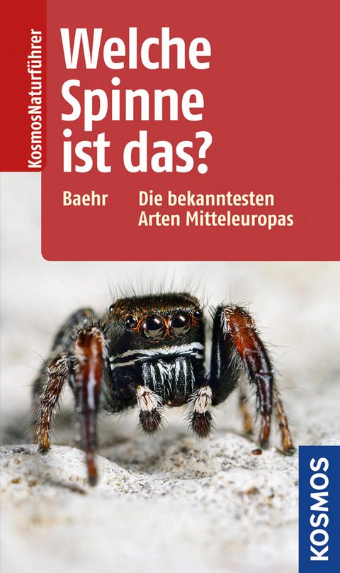 Welche Spinne ist das? - Martin Baehr