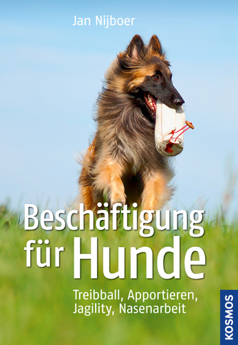 Besch&auml;ftigung f&uuml;r Hunde - Jan Nijboer