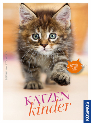 Katzenkinder