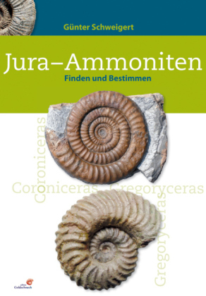 Jura-Ammoniten