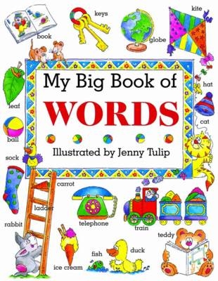 My Big Book of Words -  Clark Isabel