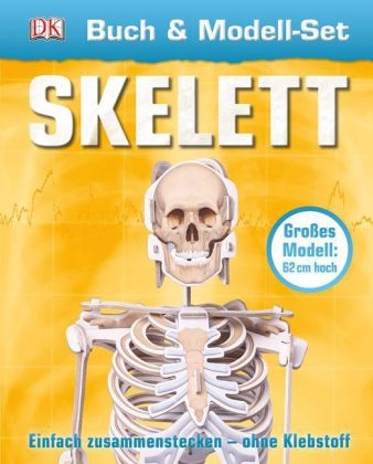 Buch & Modell-Set Skelett