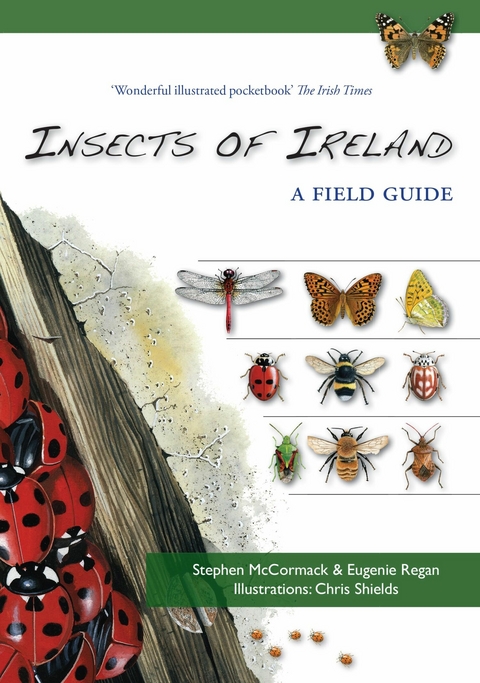 Insects of Ireland -  Stephen McCormack,  Eugenie Regan,  Chris Shields
