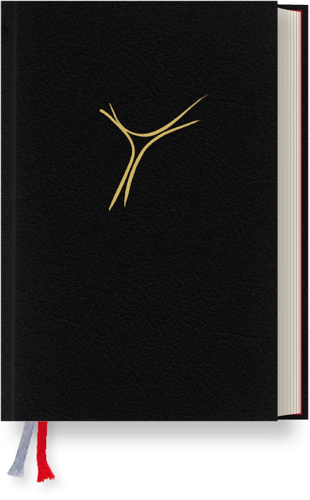 Gotteslob Bistum Essen. Gro&szlig;druckausgabe Cabra schwarz.