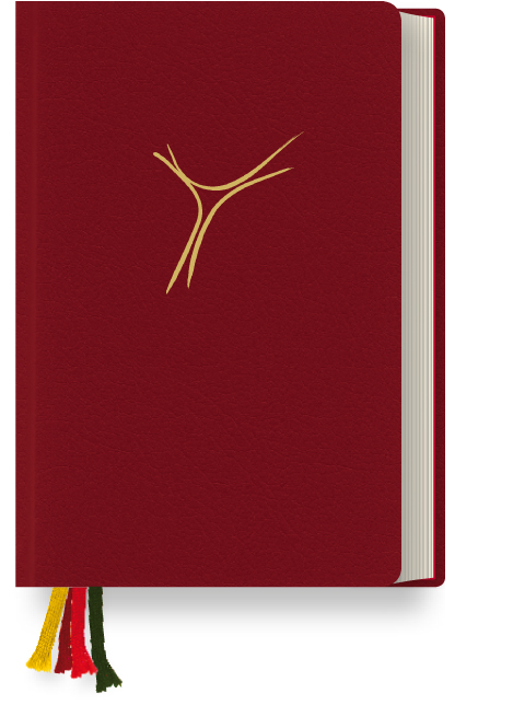 Gotteslob &Ouml;sterreich. Cabra weinrot.