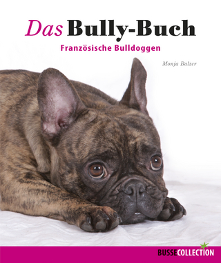 Das Bully-Buch