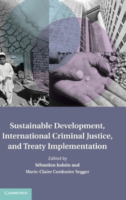 Sustainable Development, International Criminal Justice, and Treaty Implementation - 