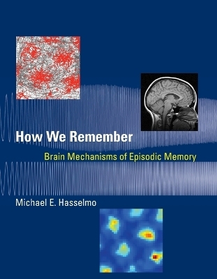 How We Remember - Michael E. Hasselmo