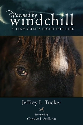 Warmed by Windchill - Jeffrey L. Tucker