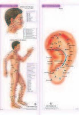 4 Acupunture Charts
