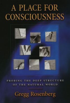 Place for Consciousness -  Gregg Rosenberg