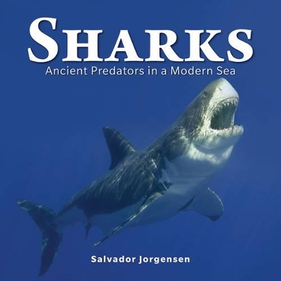 Sharks: Ancient Predators in a Modern Sea - Salvador Jorgensen