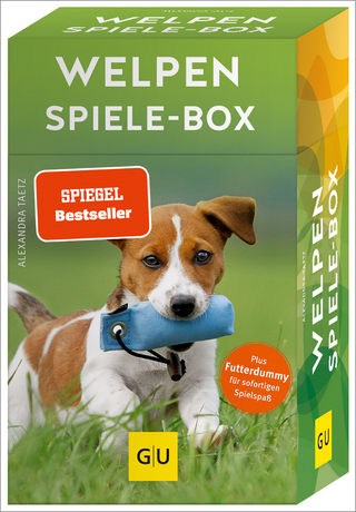 Welpen-Spiele-Box