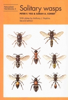 Solitary wasps - Peter F. Yeo, Sarah Corbet