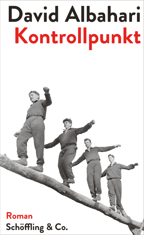 Kontrollpunkt - David Albahari