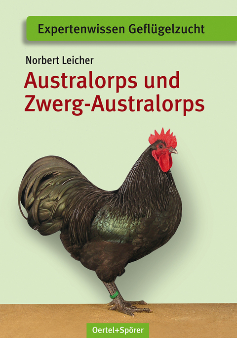 Australorps und Zwerg-Australorps - Norbert Leicher