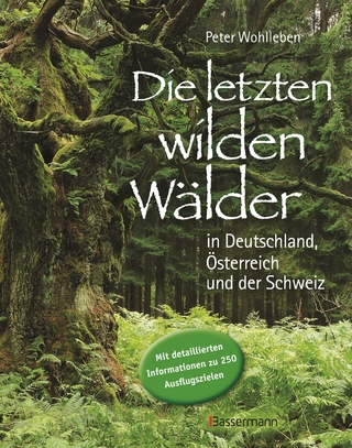Wilde Wälder