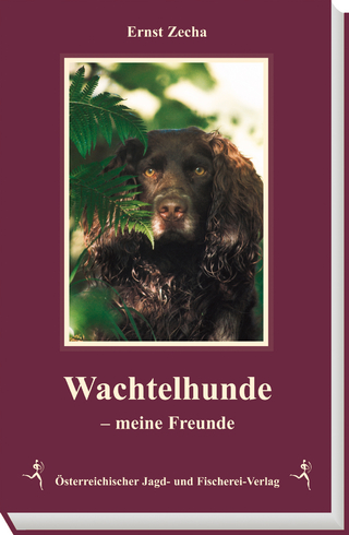 Wachtelhunde - Meine Freunde