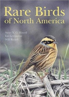 Rare Birds of North America - Steve N. G. Howell, Ian Lewington, Will Russell