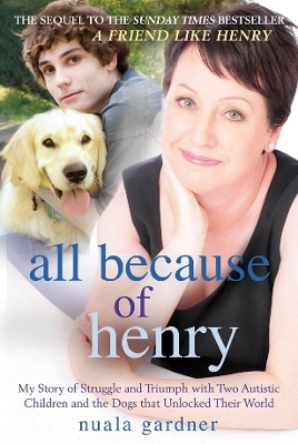 All Because of Henry - Nuala Gardner