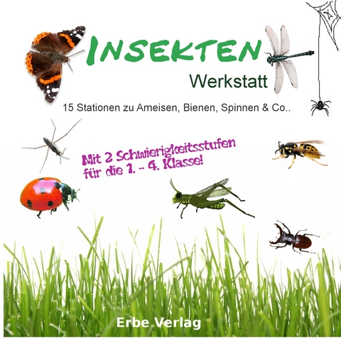 Insekten Werkstatt - Lin&eacute;a Sommer