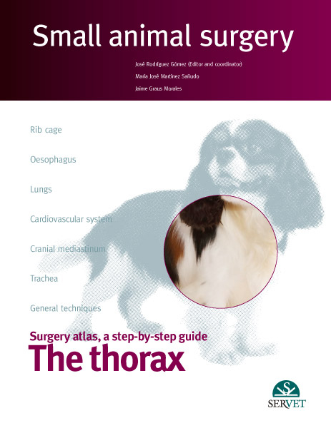 Small Animal surgery: The Thorax - Jos&eacute; Rodriguez Gom&eacute;z, Jaime Graus Morales, Mar&iacute;a Jos&eacute; Mart&iacute;nez Sa&ntilde;udo