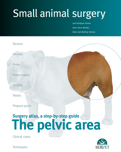 Small Animal Surgery: The Pelvic Area - Jos&eacute; Rodriguez Gom&eacute;z, Jaime Graus Morales, Mar&iacute;a Jos&eacute; Mart&iacute;nez Sa&ntilde;udo