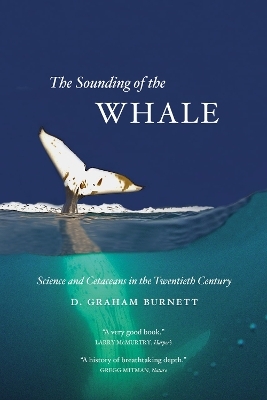 The Sounding of the Whale
