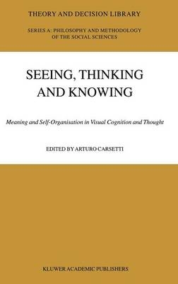 Seeing, Thinking and Knowing - 