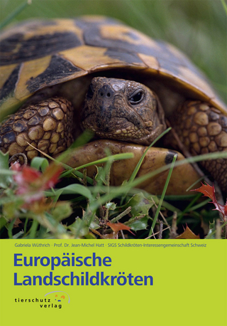 Europäische Landschildkröten