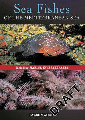 Sea Fishes Of The Mediterranean Including Marine Invertebrates -  Lawson Wood