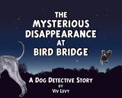 Mysterious Disappearance at Bird Bridge - Viv Levy