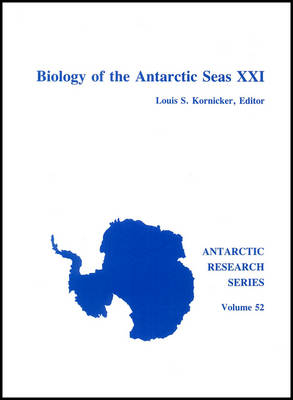 Modeling Magnetospheric Plasma Processes