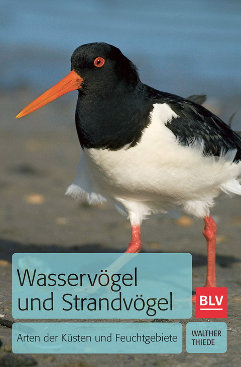 Wasserv&ouml;gel und Strandv&ouml;gel - Walther Thiede