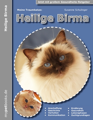 Meine Traumkatze: Heilige Birma