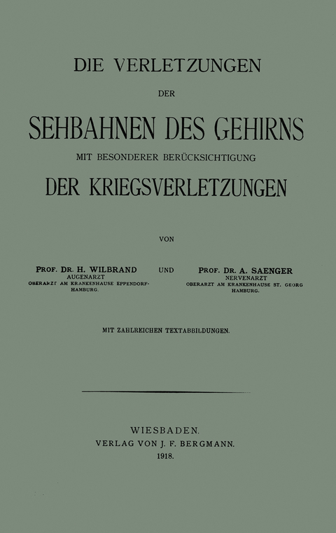 Die Verletzungen der Sehbahnen des Gehirns mit Besonderer Ber&uuml;cksichtigung der Kriegsverletzungen - Hermann Wilbrand, Alfred Saenger