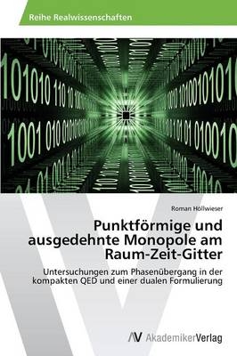 Punktf&ouml;rmige und ausgedehnte Monopole am Raum-Zeit-Gitter - Roman H&ouml;llwieser
