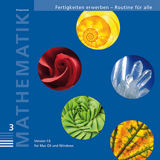 Mathematik 3, Primarstufe, Fertigkeiten erwerben