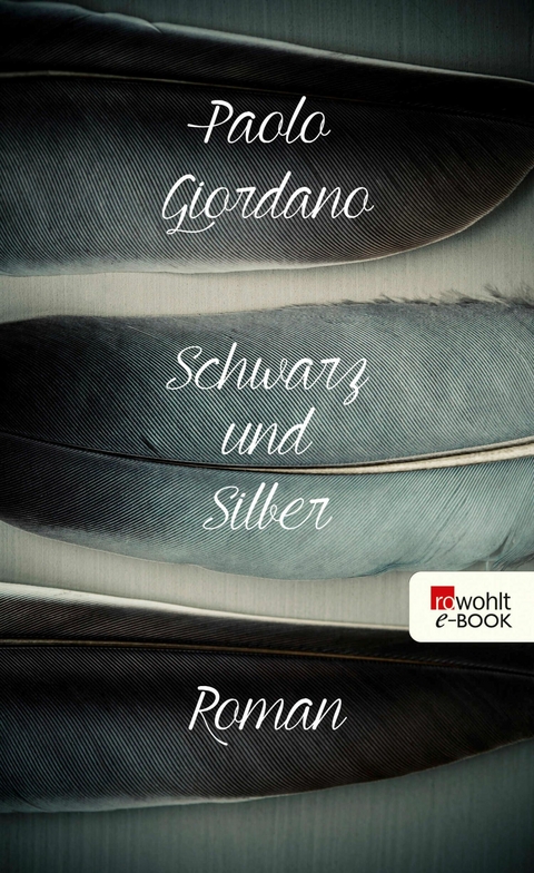 Schwarz und Silber - Paolo Giordano